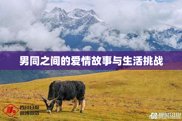男同之间的爱情故事与生活挑战