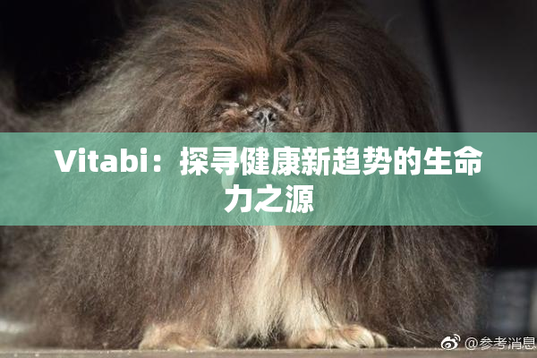 Vitabi：探寻健康新趋势的生命力之源