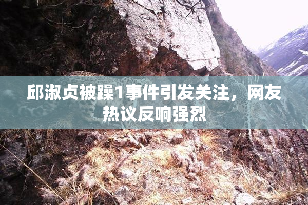 邱淑贞被躁1事件引发关注，网友热议反响强烈