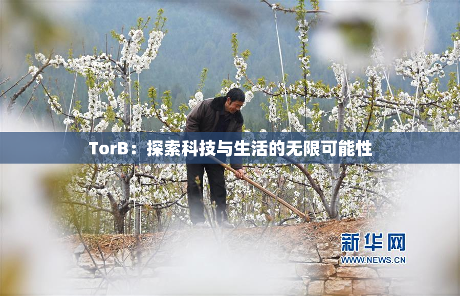 TorB：探索科技与生活的无限可能性