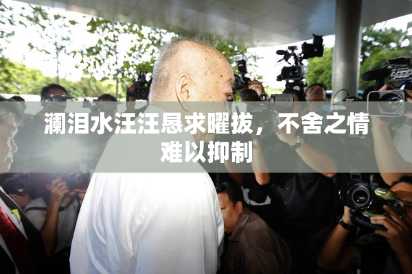 澜泪水汪汪恳求曜拔，不舍之情难以抑制