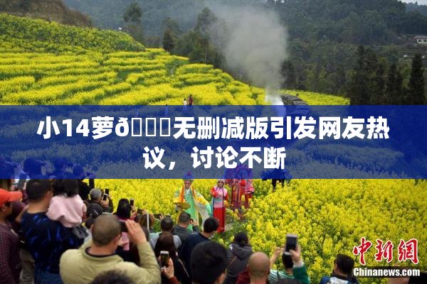 小14萝🔞无删减版引发网友热议，讨论不断