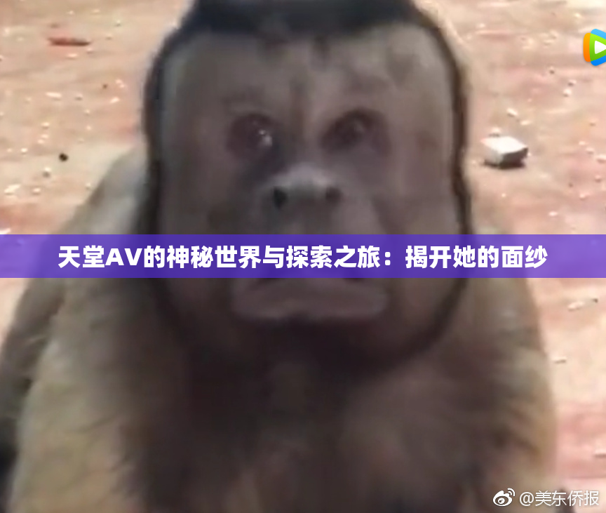 天堂A∨的神秘世界与探索之旅：揭开她的面纱