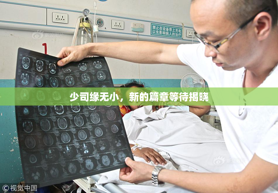 少司缘无小，新的篇章等待揭晓