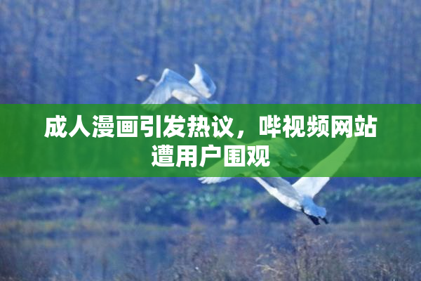 成人漫画引发热议，哔视频网站遭用户围观