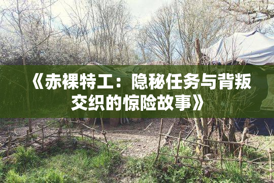 《赤裸特工：隐秘任务与背叛交织的惊险故事》