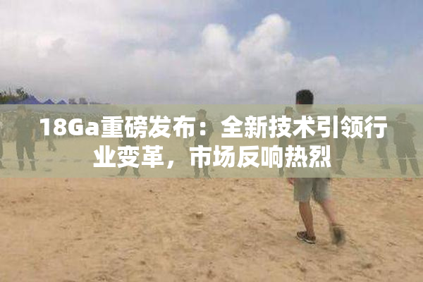 18Ga重磅发布：全新技术引领行业变革，市场反响热烈