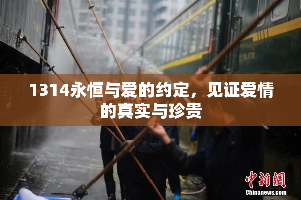 1314永恒与爱的约定，见证爱情的真实与珍贵