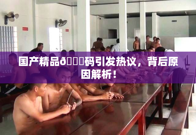 国产精品🈚码引发热议，背后原因解析！