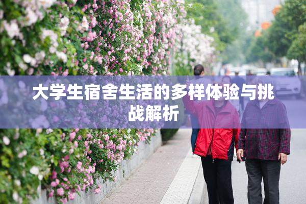 大学生宿舍生活的多样体验与挑战解析