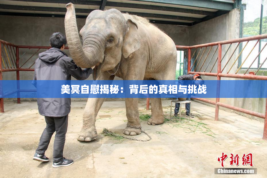 美冥自慰揭秘：背后的真相与挑战