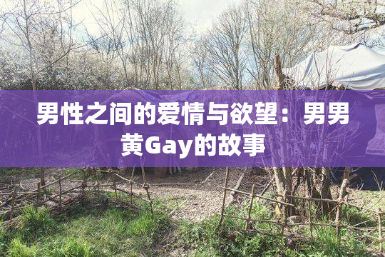 男性之间的爱情与欲望：男男黄Gay的故事