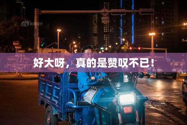 好大呀，真的是赞叹不已！