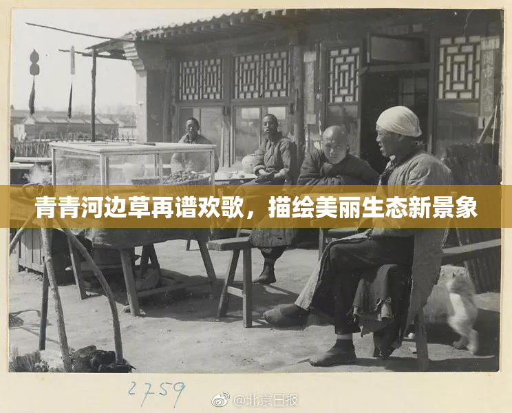 青青河边草再谱欢歌，描绘美丽生态新景象