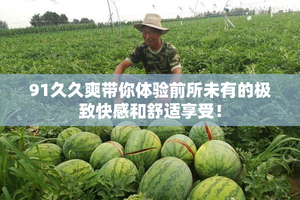 91久久爽带你体验前所未有的极致快感和舒适享受！