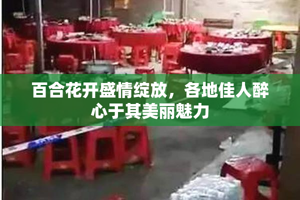百合花开盛情绽放，各地佳人醉心于其美丽魅力