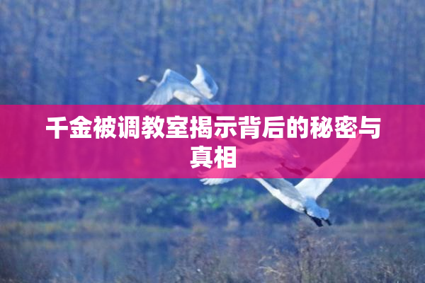千金被调教室揭示背后的秘密与真相