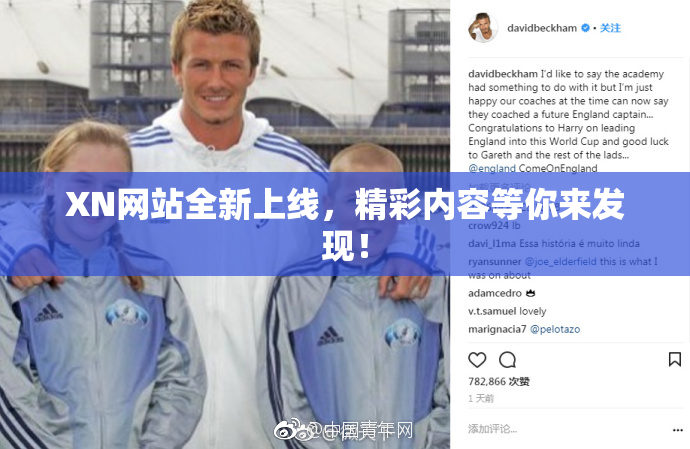 XN网站全新上线，精彩内容等你来发现！