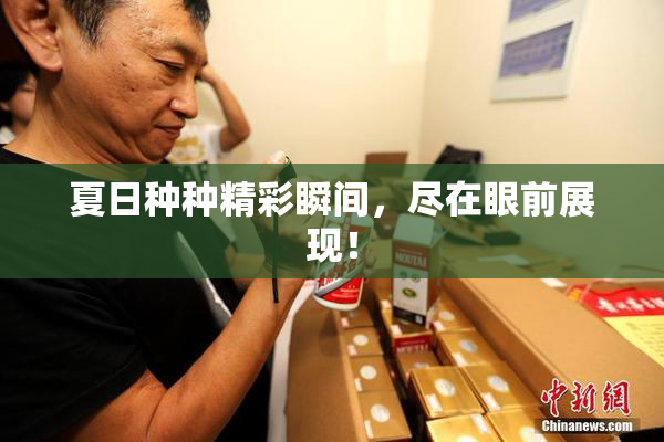 夏日种种精彩瞬间，尽在眼前展现！