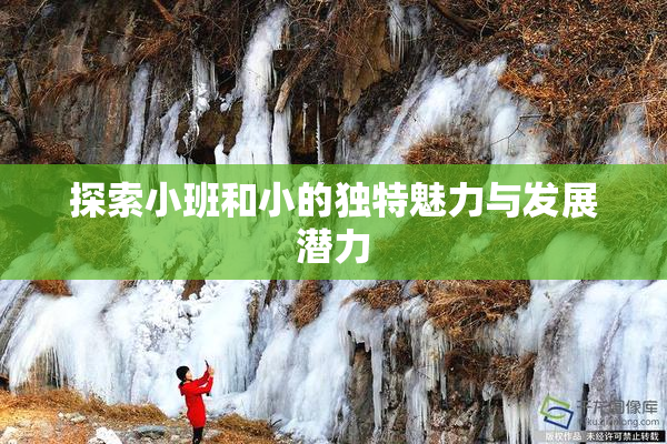探索小班和小的独特魅力与发展潜力