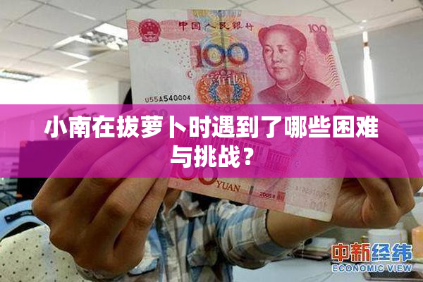 小南在拔萝卜时遇到了哪些困难与挑战？