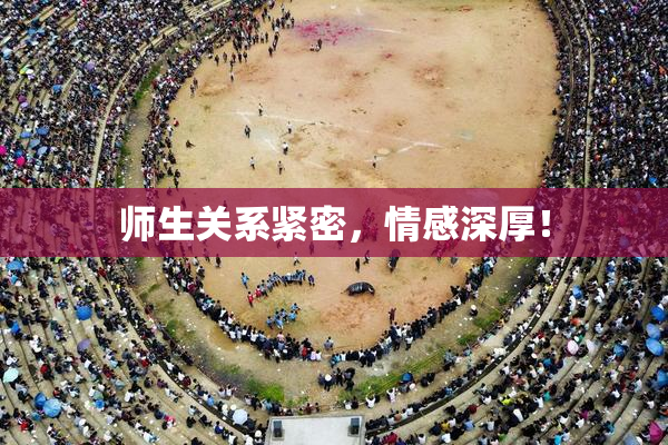 师生关系紧密，情感深厚！