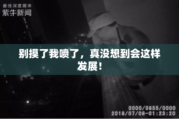 别摸了我喷了，真没想到会这样发展！
