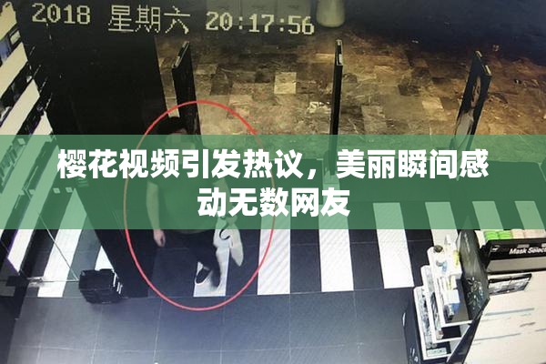 樱花视频引发热议，美丽瞬间感动无数网友