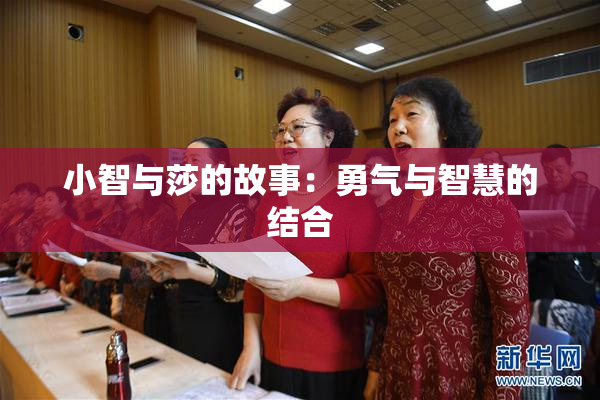 小智与莎的故事：勇气与智慧的结合