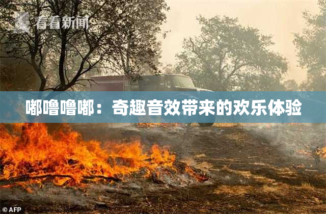 嘟噜噜嘟：奇趣音效带来的欢乐体验