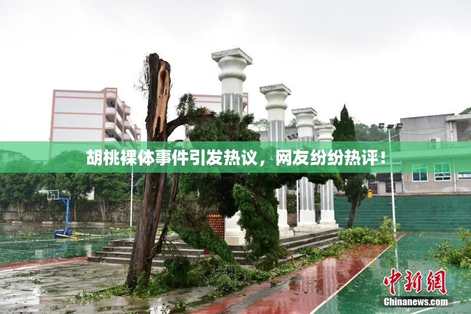 胡桃裸体事件引发热议，网友纷纷热评！
