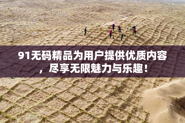 91无码精品为用户提供优质内容，尽享无限魅力与乐趣！