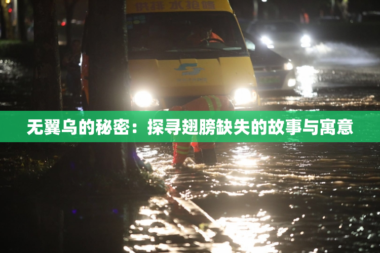 无翼乌的秘密：探寻翅膀缺失的故事与寓意