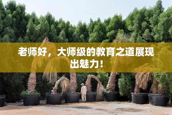 老师好，大师级的教育之道展现出魅力！