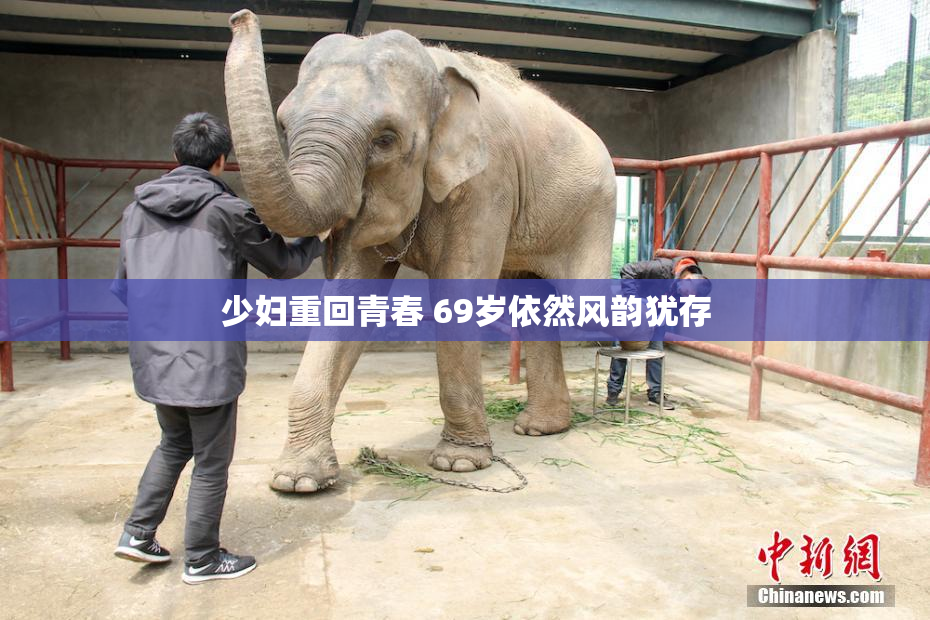 少妇重回青春 69岁依然风韵犹存