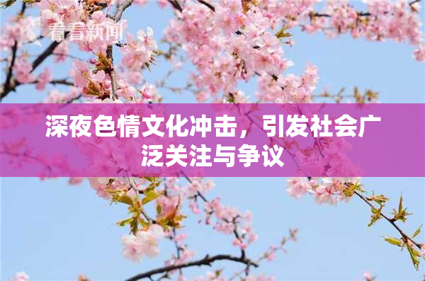 深夜色情文化冲击，引发社会广泛关注与争议