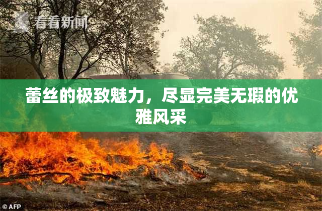 蕾丝的极致魅力，尽显完美无瑕的优雅风采