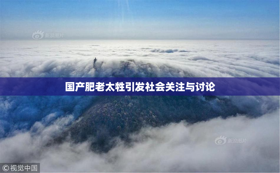 国产肥老太牲引发社会关注与讨论