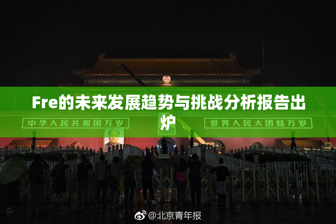 Fre的未来发展趋势与挑战分析报告出炉
