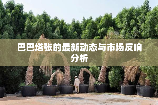 巴巴塔张的最新动态与市场反响分析