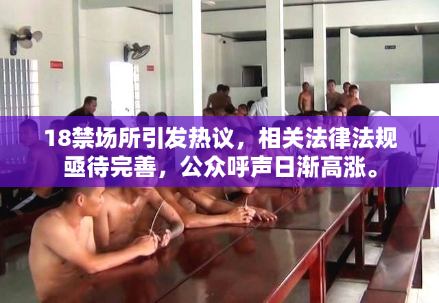 18禁场所引发热议，相关法律法规亟待完善，公众呼声日渐高涨。