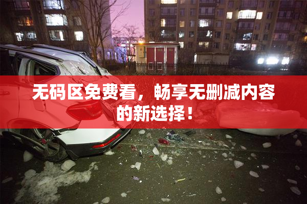 无码区免费看，畅享无删减内容的新选择！