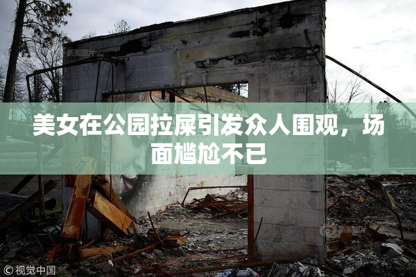 美女在公园拉屎引发众人围观，场面尴尬不已