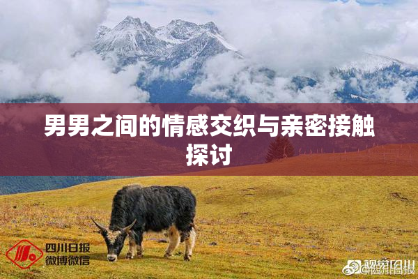 男男之间的情感交织与亲密接触探讨
