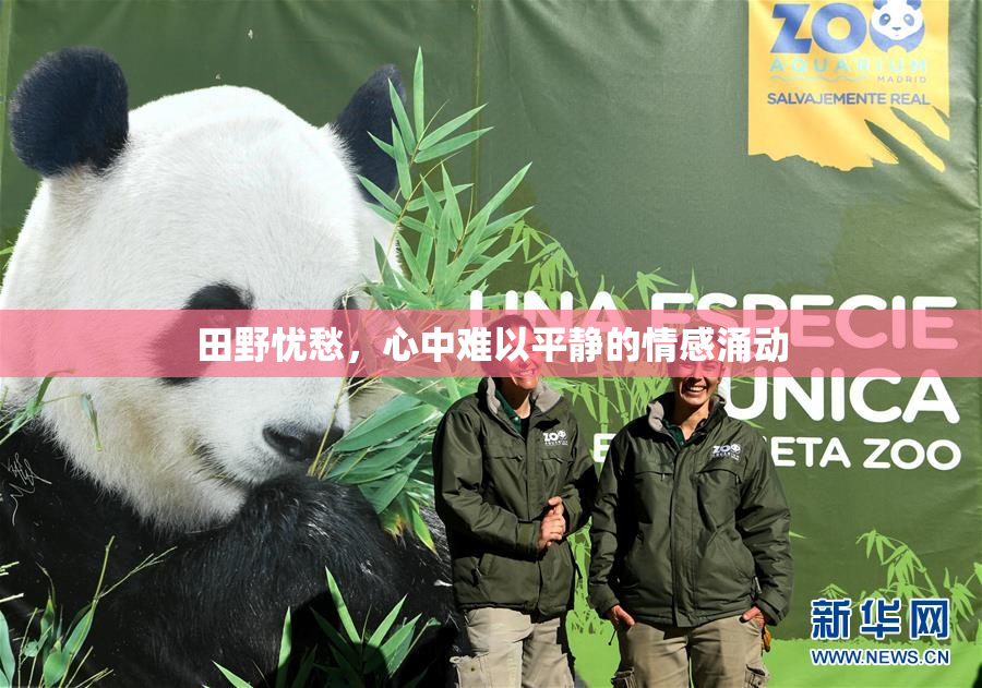 田野忧愁，心中难以平静的情感涌动