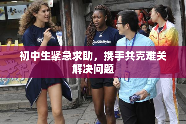 初中生紧急求助，携手共克难关解决问题