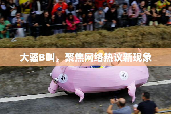 大骚B叫，聚焦网络热议新现象