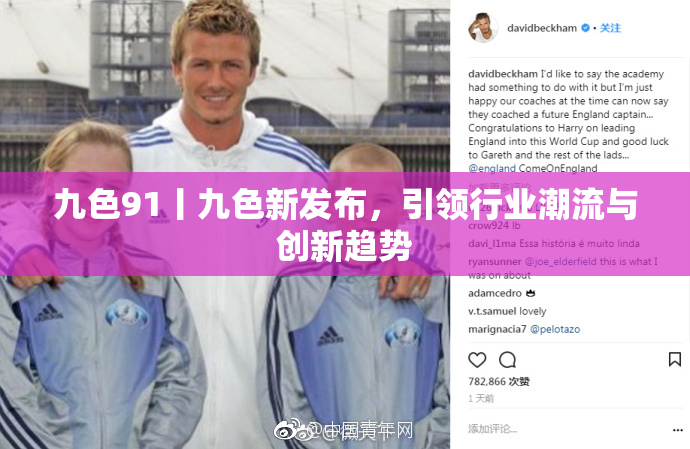 九色91丨九色新发布，引领行业潮流与创新趋势