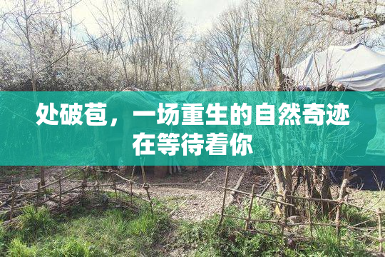 处破苞，一场重生的自然奇迹在等待着你