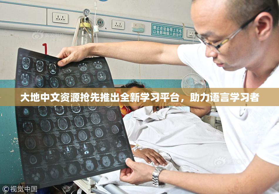 大地中文资源抢先推出全新学习平台，助力语言学习者